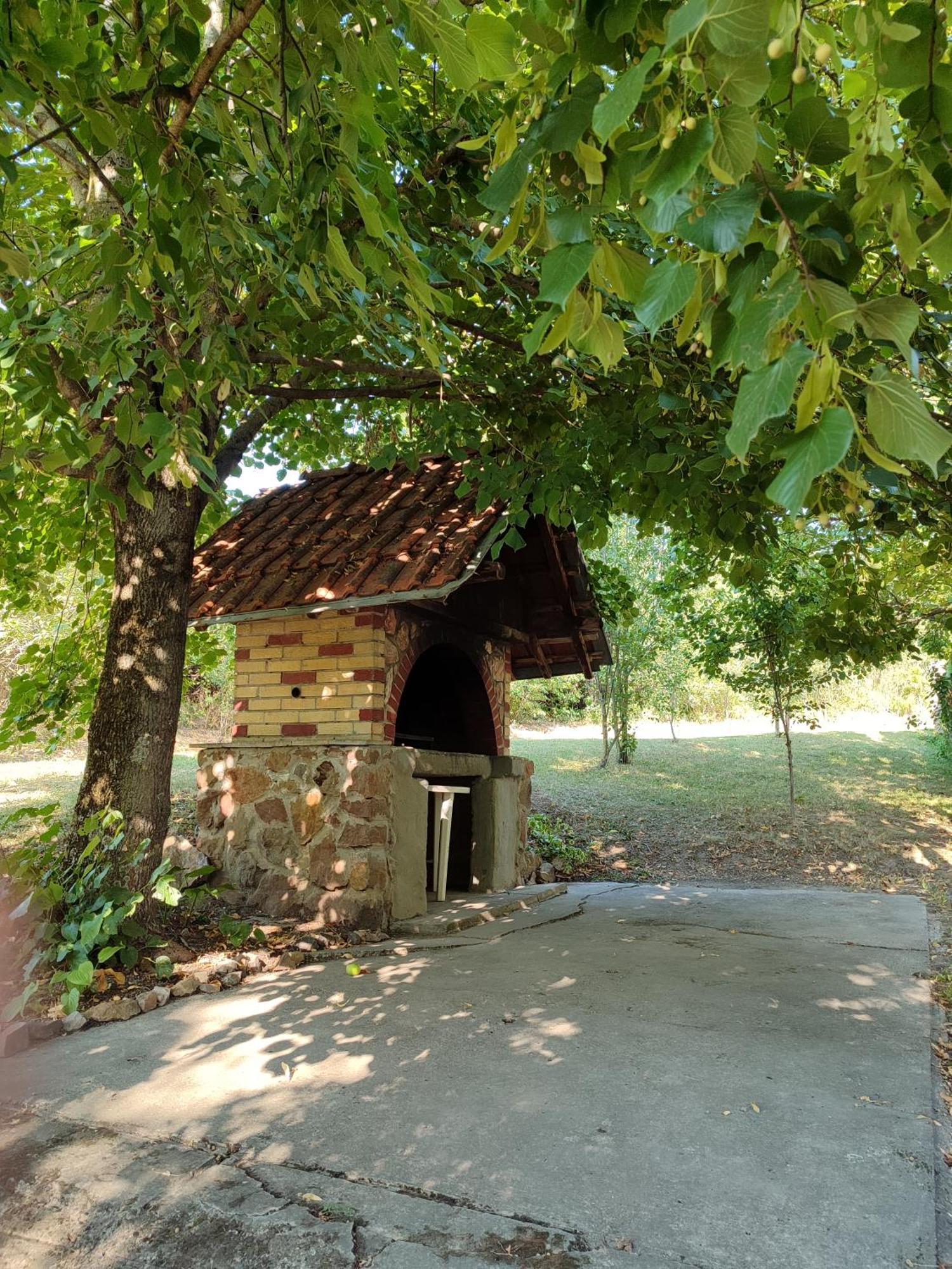 فيلا Sorg House Forest & Lake Besenovacki Prnjavor المظهر الخارجي الصورة